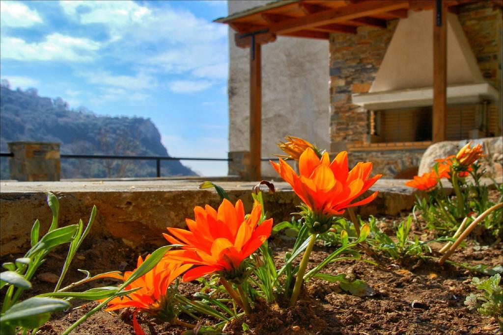 Volos View Residence マクリニツァ エクステリア 写真